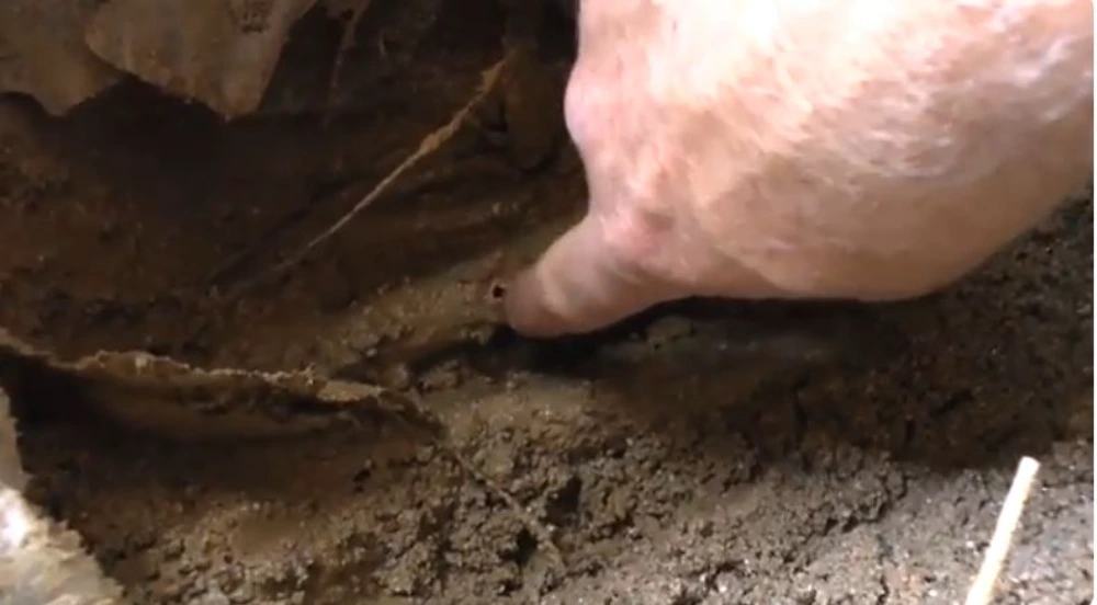 Excavated leak point on a service line